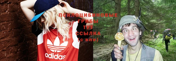 герыч Абаза