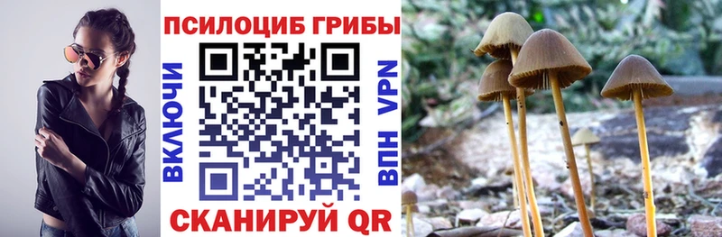 купить  сайты  Ахтырский  Галлюциногенные грибы GOLDEN TEACHER 
